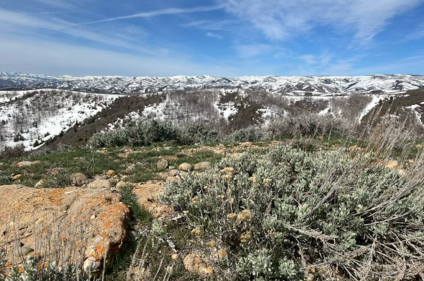 Utah wildlife officials secretly culled 170 elk from LDS Church ranch land