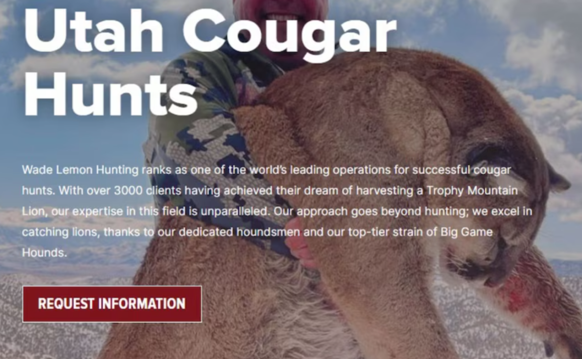 Here’s why Trump Jr.’s Utah hunting guide is headed to jail before his